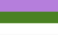 genderqueer pride flag