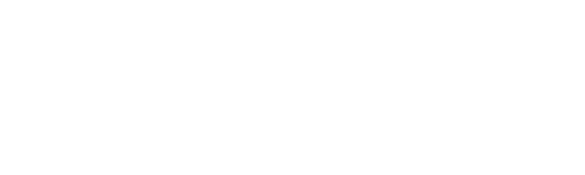 Wordmark, white
