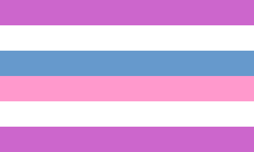 Intersex Pride Flag — Phox