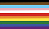 11 Colour LGBTQIA+ Flag - 2018 Seattle
