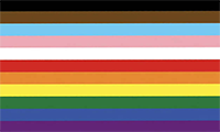 11 Colour LGBTQIA+ Flag - 2018 Seattle
